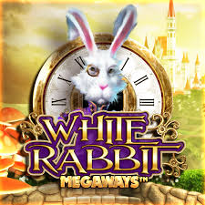 White Rabbit (No Drop)
