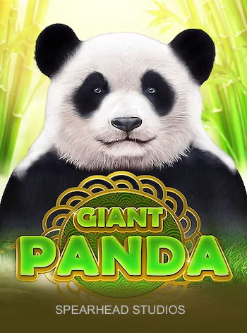 Giant Panda